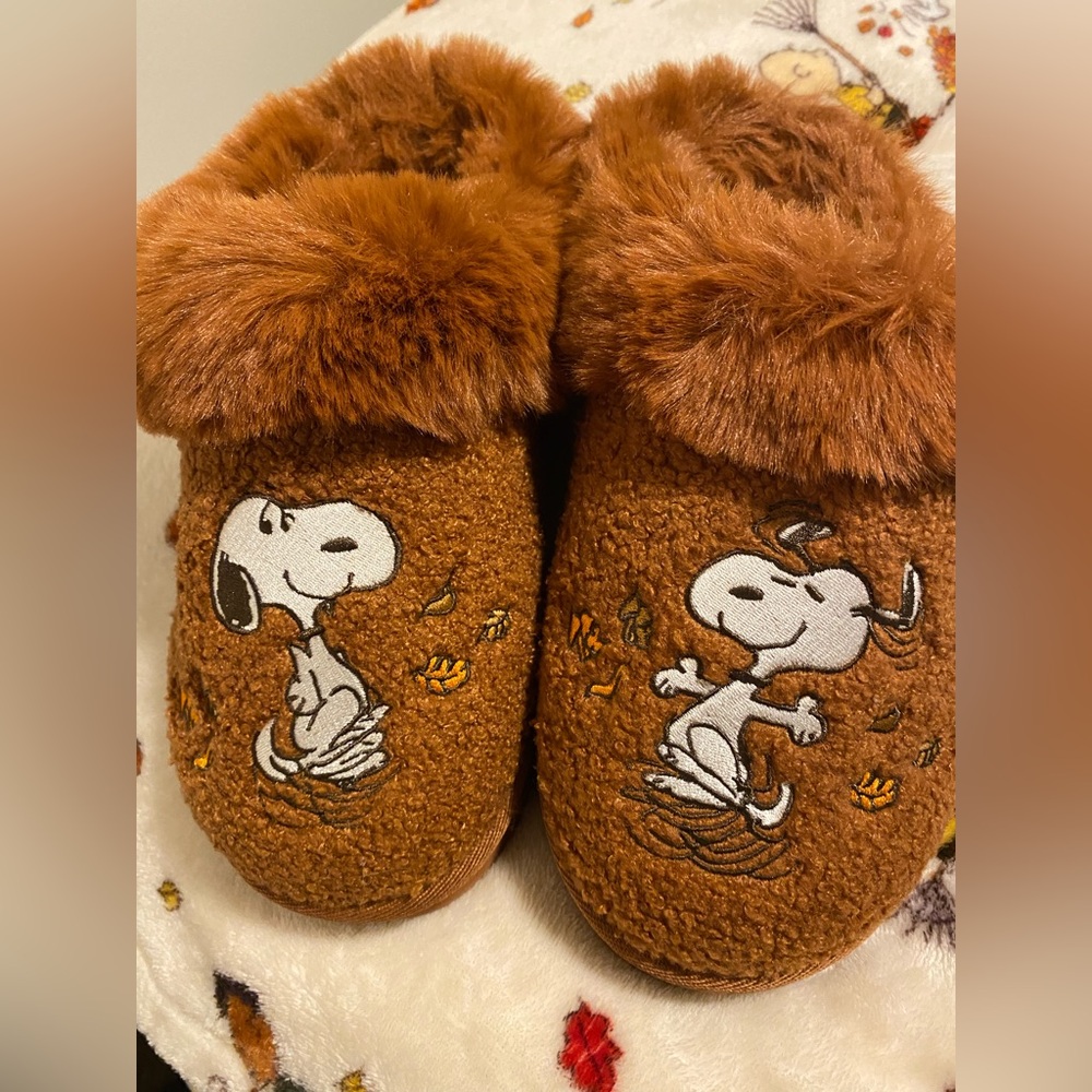 American Eagle Slippers